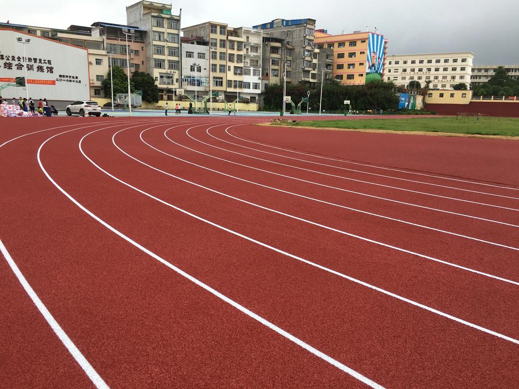 岳阳市硅PU塑胶跑道材料 - 价格